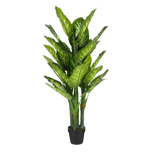 Mica Decorations Dieffenbachia Kunstplant - H150 x Ø70 cm