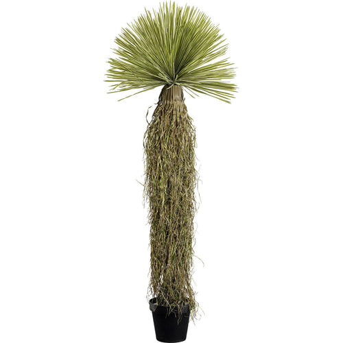 Kare Design Kunstplanten - Yucca - 180cm - vtwonen shop