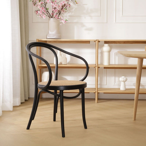 Fameg Venice No. 9 Eetkamerstoel Zwart - Armleuning - Rotan Zitting - vtwonen shop