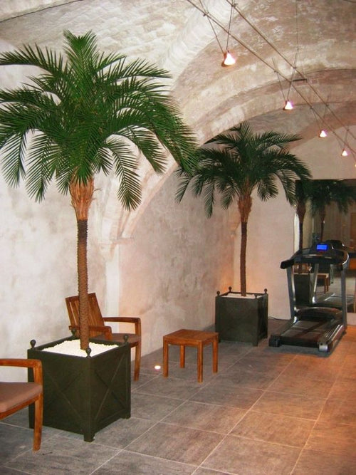 Maxifleur Phoenix kunstpalm deluxe OD 300cm