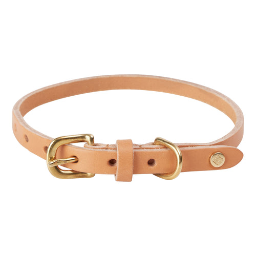 OYOY Hondenhalsband 52 x 2 cm – Bruin leer