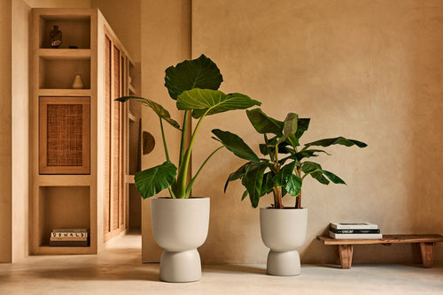 elho amber coupe 35 linnen wit | Bloempot |Premium statementdesign