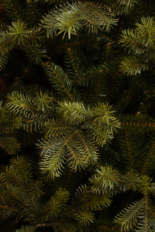 Black Box Trees Clive Kunstkerstboom - Kunst Kerstboom H230 x Ø147 cm - Groen