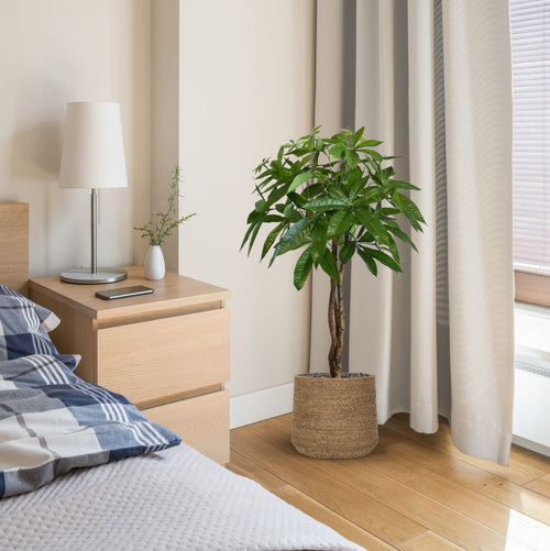 Maxifleur Pachira bal kunstplant op stam 75cm