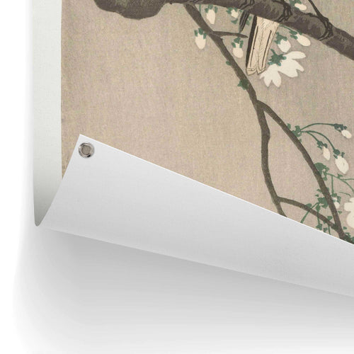 Reinders tuinposter Ohara Koson - Koolmezen op bloesemtak - 80x60cm