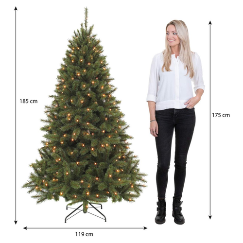 Triumph Tree Bristlecone Kunstkerstboom met LED Verlichting - Kunst Kerstboom H185 x Ø130 cm - Donkergroen