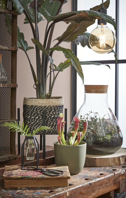 Mica Decorations Emily Voorraadpot - H32 x Ø30 cm - Gerecycled Glas - Transparant - vtwonen shop