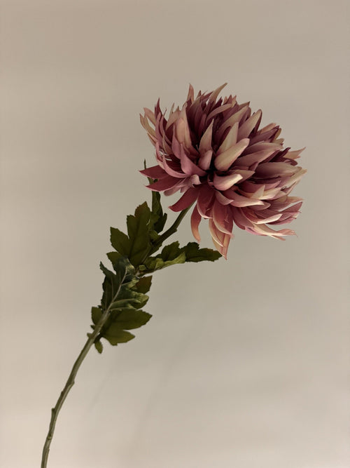 My Flowers.shop Rose paarse zijden Chrysant | Zijden bloemen | Lengte 62 centimeter | Per stuk - vtwonen shop