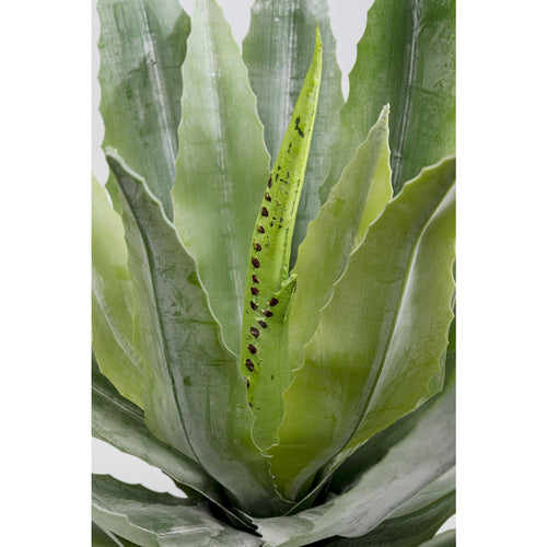 Kare Design Kunstplanten - agave - 40cm - vtwonen shop