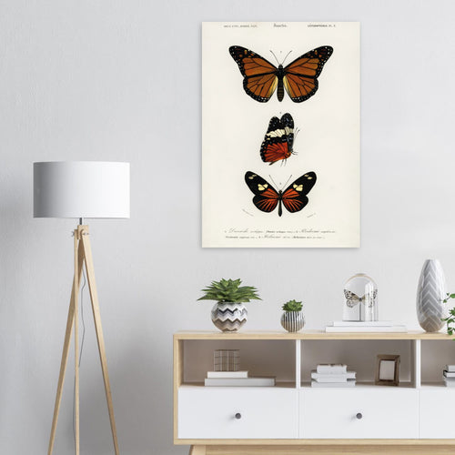 Artfulprints  Charles Dessalines d'Orbigny - Butterfly   poster A4 21x29.7 cm - vtwonen shop