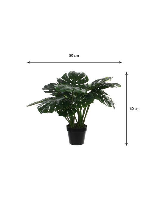 Mica Decorations Monstera Kunstplant - H60 x Ø80 cm - Groen