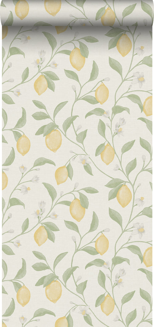 Sanders & Sanders behang fruit groen en geel - 53 cm x 10 m - 641014