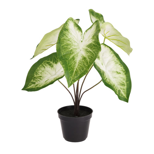 Maxifleur Caladium Aron kunstplant 45cm in kweekpot