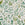 Joules Vliesbehang - Holcombe Floral Navy