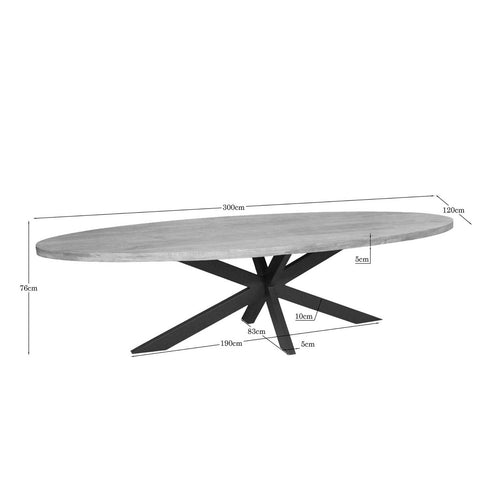 Starfurn Eettafel Dakota - Ovaal Naturel Hout - 300x120x76cm