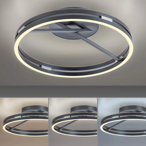 Neuhaus PURE plafondlamp Loop - 2 lichts - 60  x 17.8   cm - antraciet