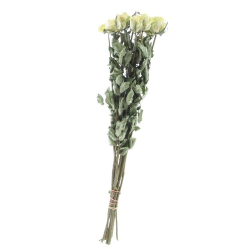 My Flowers.shop Tien gedroogde witte rozen | Lengte 50 centimeter | Per bos te bestellen - vtwonen shop