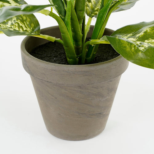 Mica Decorations Dieffenbachia Kunstplant in Bloempot Stan - H40 x Ø30 cm - Groen - vtwonen shop