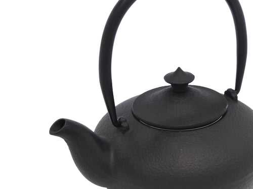 Bredemeijer - Theepot Chengdu 1,0L gietijzer zwart - vtwonen shop