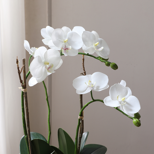 Sia Deco Orchidee En Succulenten Compositie - wit - H43 - vtwonen shop