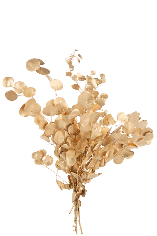 J-Line decoratie tak Eucalyptus Droogbloemen - riet - goud