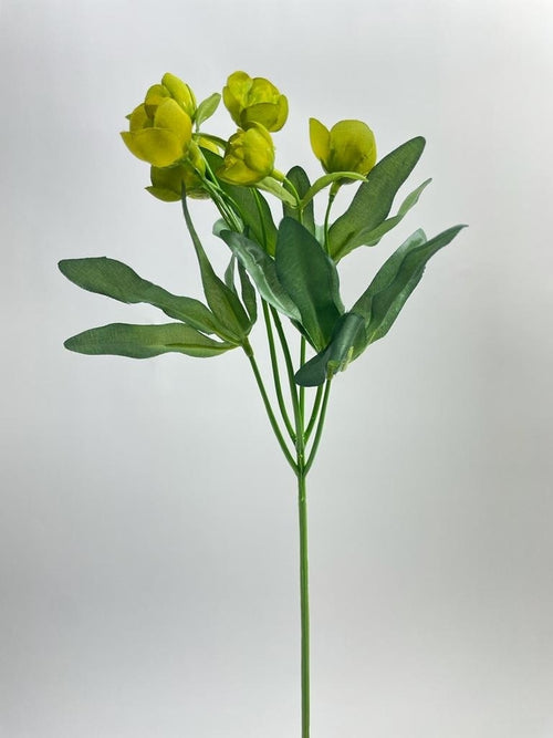 My Flowers.shop Groene helleborus zijden bloem | Lengte 45 centimeter | Per stuk - vtwonen shop