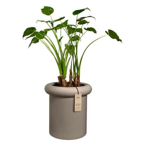 elho lana 46 burnt umber | Bloempot | Trendgericht premium statementdesign