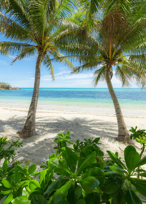 Sanders & Sanders fotobehang palmbomen op het strand groen en blauw - 200 x 280 cm - 612580