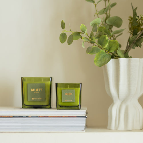 S|P Collection - Geurkaars 460g Forest Gallery
