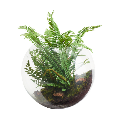 Sia Deco Terrarium Met Varen Kunstmatig - groen - L32 - vtwonen shop