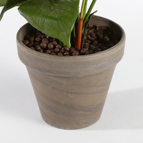 Mica Decorations Anthurium Kunstplant in Bloempot Stan - H40 x Ø30 cm - Lichtroze - vtwonen shop