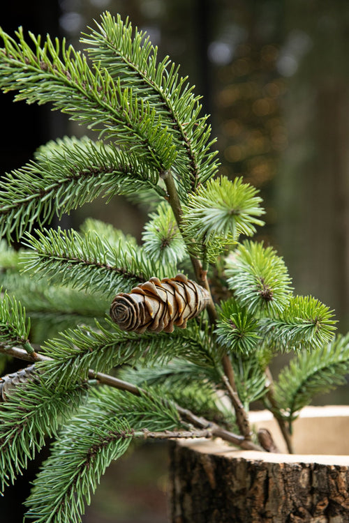 J-Line decoratie tak Dennenboom - kunststof - groen/bruin - 8 stuks