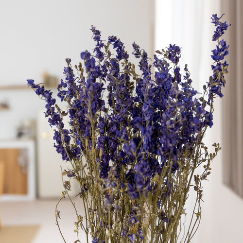 My Flowers.shop Blauw gedroogd Ridderspoor | Delphinium droogbloemen | Lengte 70 centimeter | Per bos - vtwonen shop