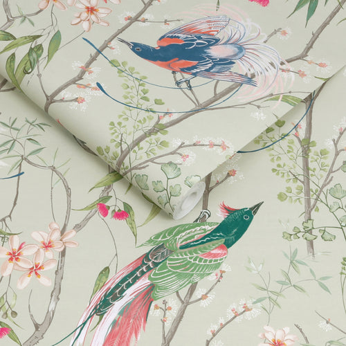 Graham & Brown vliesbehang Clavering Birds Morning Sage - vtwonen shop