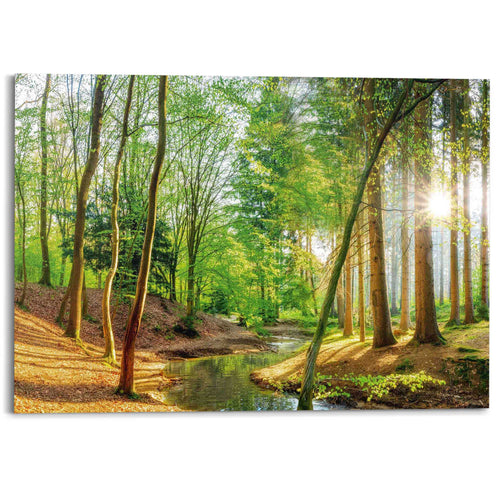 Reinders schilderij Zonnig bos - 100x140cm
