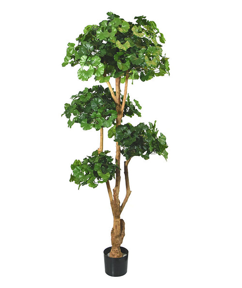 Maxifleur Ginko Bonsai deluxe kunstboom 170cm