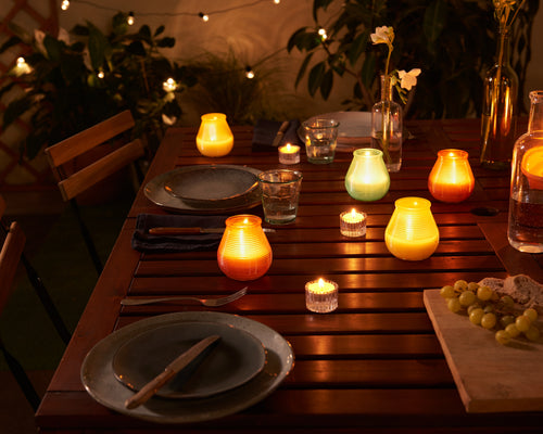 Bolsius maxi theelichten True Citronella - 48 stuks