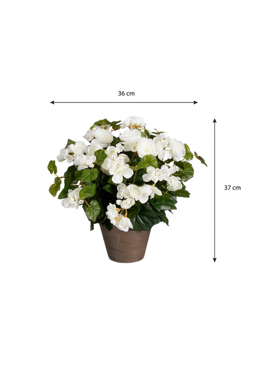 Mica Decorations Begonia Kunstplant in Bloempot Stan - H37 x Ø36 cm - Wit