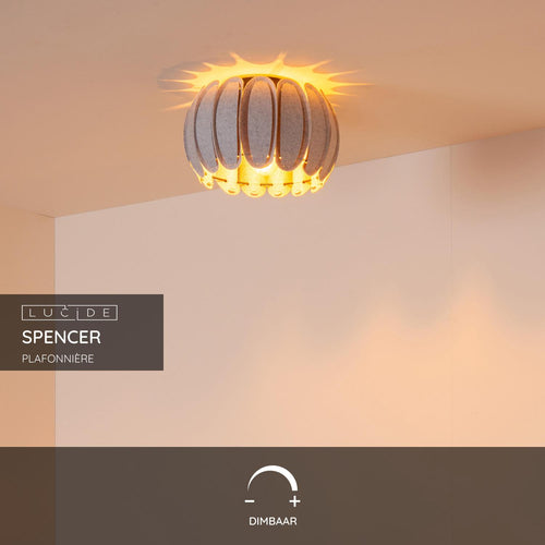 Lucide plafonnière SPENCER - 1xE27 - Grijs - vtwonen shop