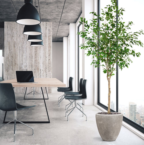 Maxifleur Ficus Exotica Kunstboom op stam 230cm