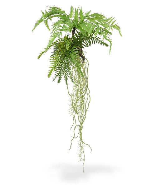 Maxifleur Tillandsia Varen kunst hangplant 90cm