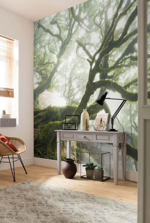 Sanders & Sanders fotobehang bos groen - 400 x 250 cm - 612387