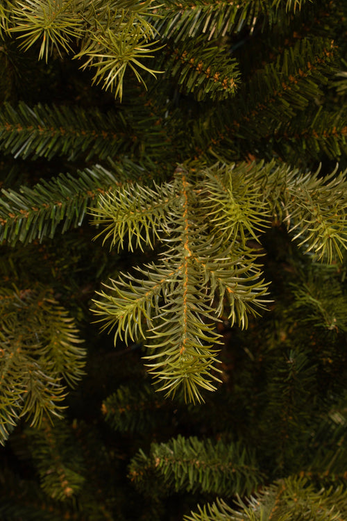 Black Box Trees Clive Kunstkerstboom - H155 x Ø109 cm - Groen - vtwonen shop