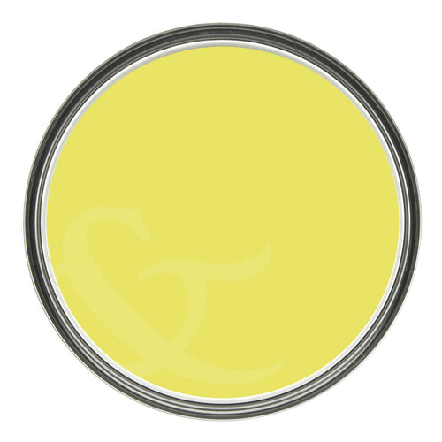Graham & Brown Fineapple - Testerpot - Matte Muurverf - 100ml