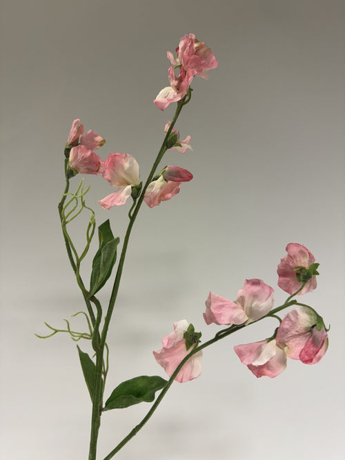 My Flowers.shop Roze lathyrus zijden bloem | Lengte 58 centimeter | Per stuk - vtwonen shop