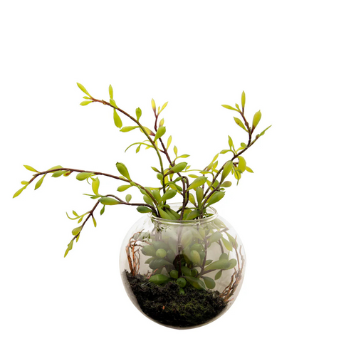 Sia Deco - Sedum in Terrarium om op te hangen - Groen  - Kunststof - H10 - vtwonen shop