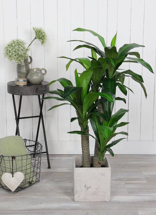 Mica Decorations Dracaena Kunstplant - H110 x Ø60 cm - vtwonen shop