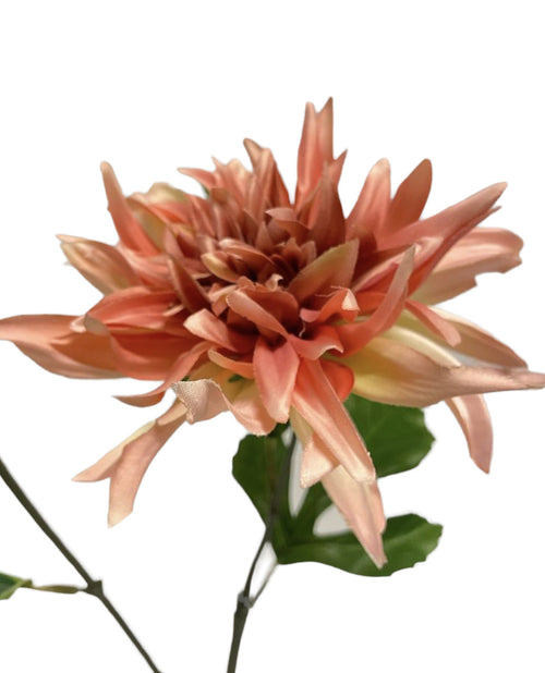 My Flowers.shop Roze dahlia zijden bloem | Lengte  63 centimeter | Per stuk - vtwonen shop