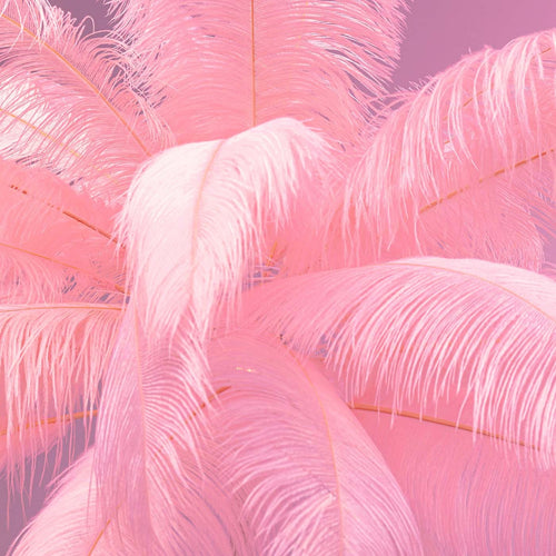 Kare Design Vloerlamp veren 165cm roze - vtwonen shop