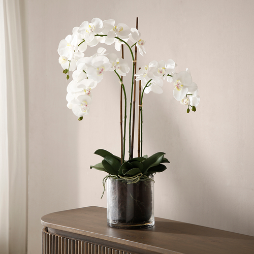 Sia Deco Orchidee Compositie Met Vaas - wit - transparant - H90 - vtwonen shop